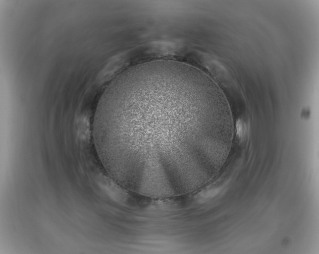 X0000092041203200709191053