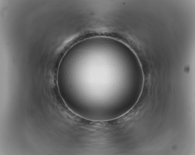 X0000092041205200709191053