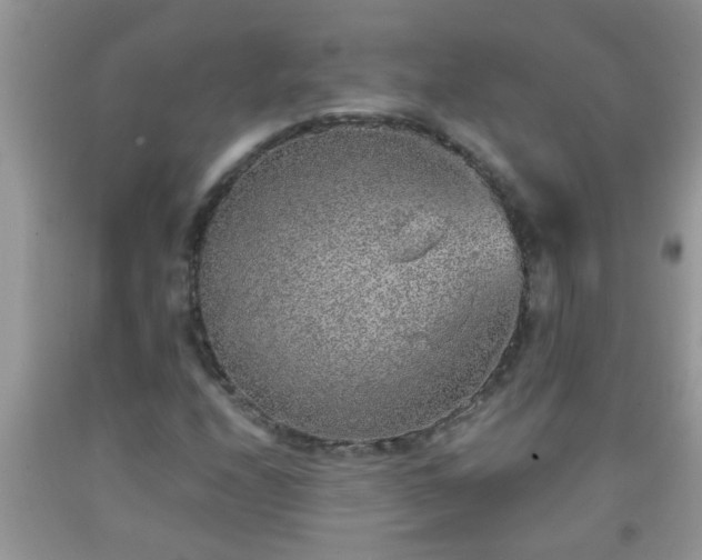 X0000092041208200709191053