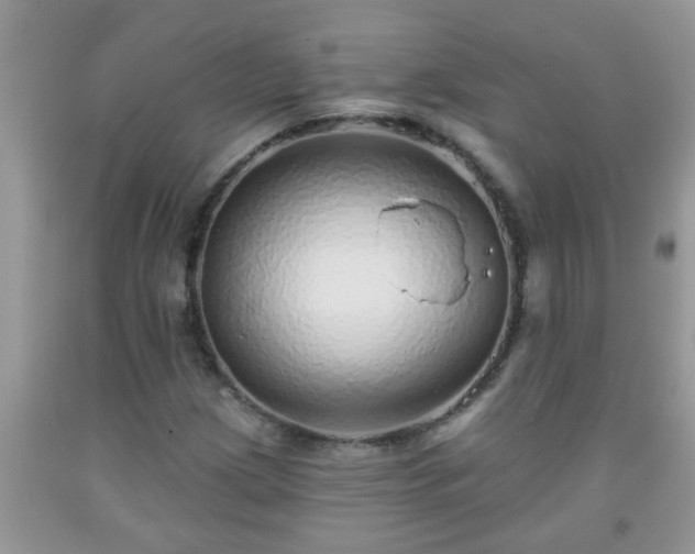 X0000092041209200709191053