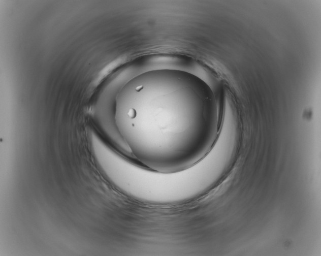 X0000092041210200709191053