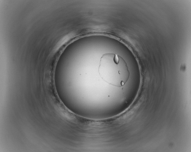 X0000092041211200709191053