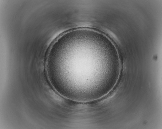 X0000092041212200709191053