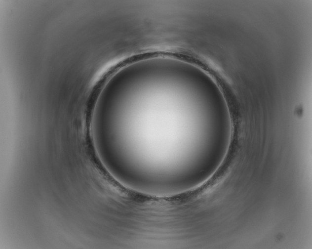 X0000092041214200709191053