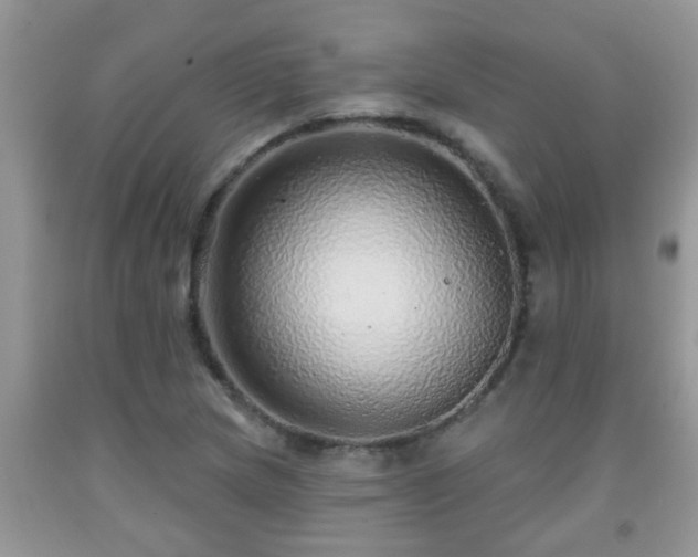 X0000092041217200709191053