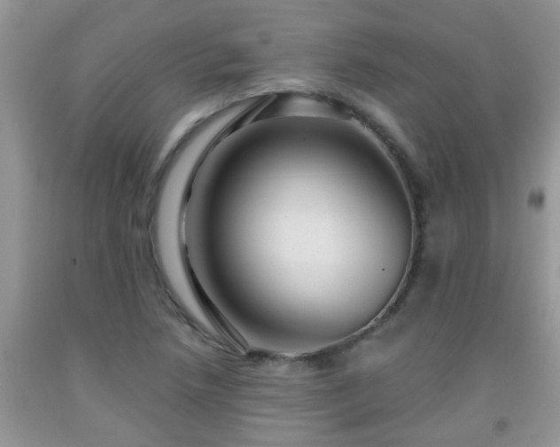 X0000092041218200709191053