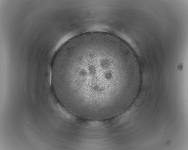 X0000092041219200709191053