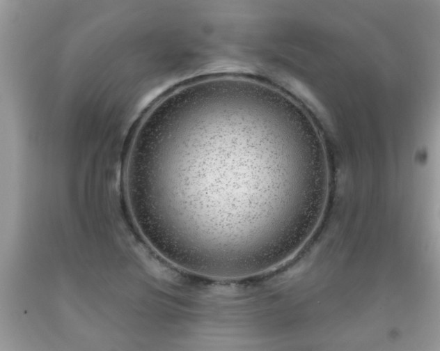 X0000092041220200709191053