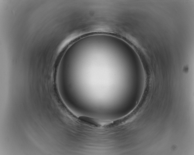 X0000092041222200709191053