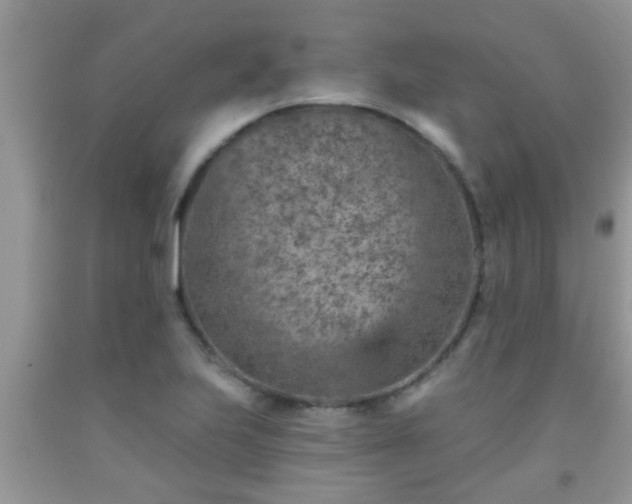 X0000092041223200709191053