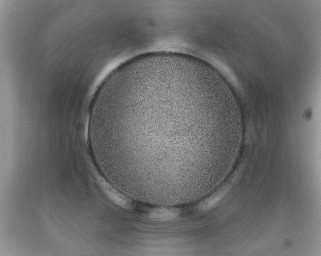 X0000092041224200709191053