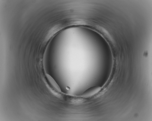 X0000092041225200709191053