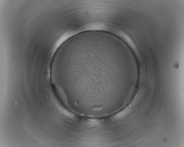 X0000092041226200709191053