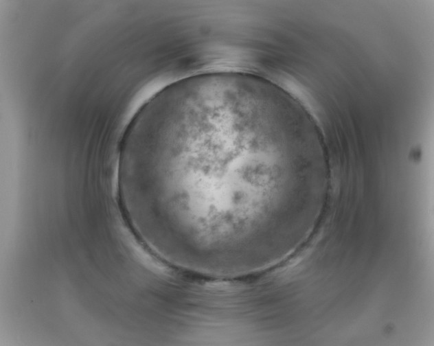 X0000092041227200709191053