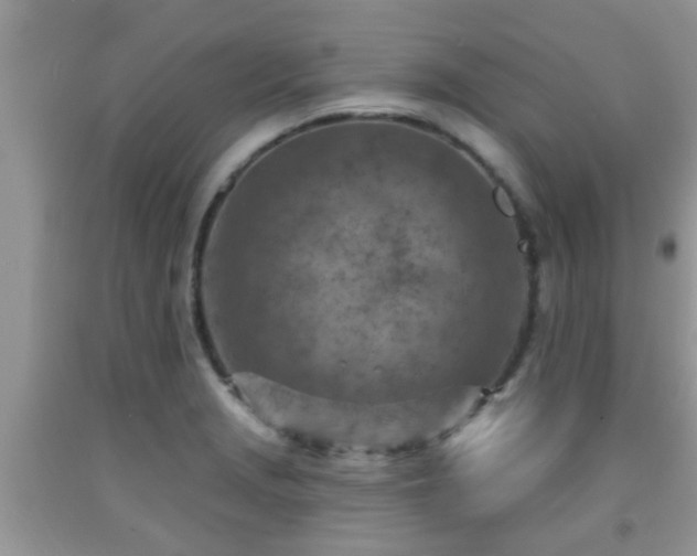 X0000092041229200709191053