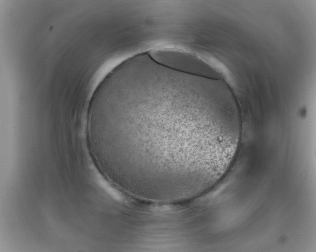 X0000092041231200709191053