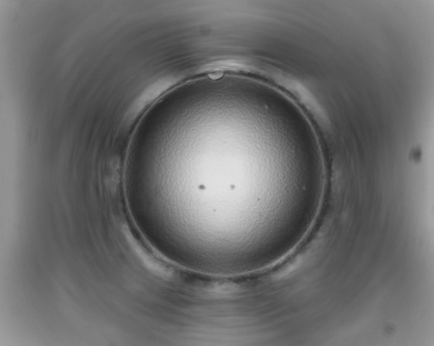 X0000092041233200709191053