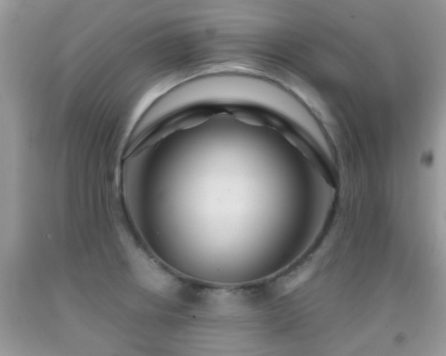 X0000092041234200709191053