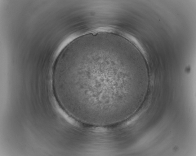 X0000092041235200709191053