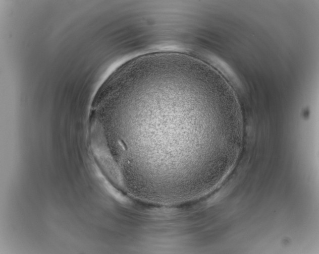 X0000092041236200709191053