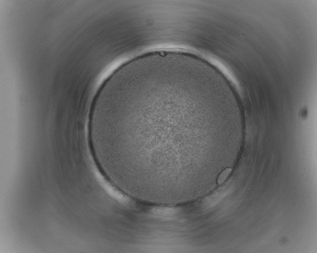 X0000092041237200709191053