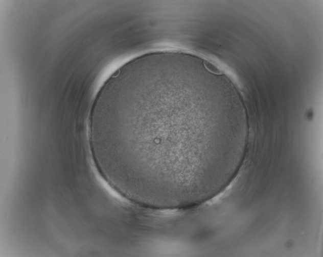 X0000092041239200709191054