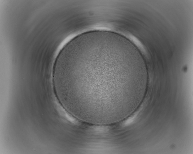 X0000092041240200709191054