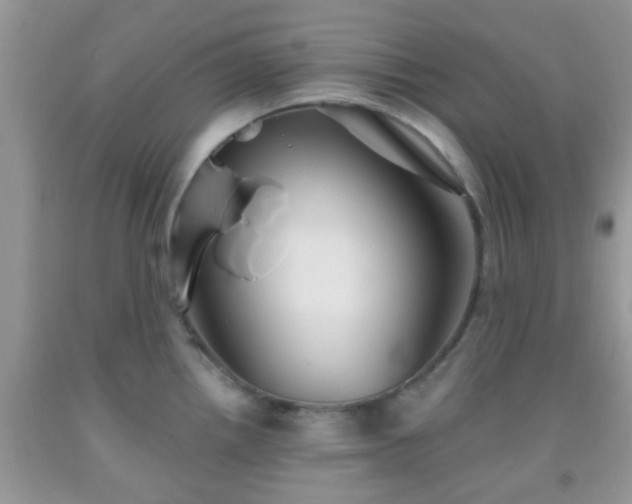 X0000092041242200709191054