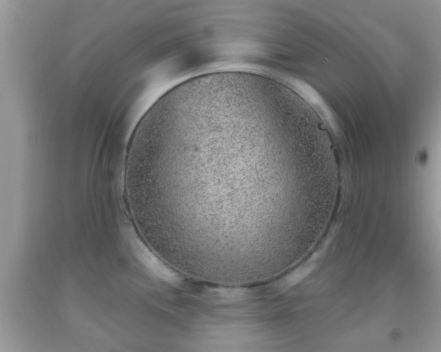 X0000092041244200709191054