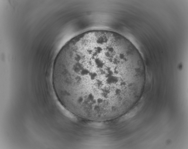 X0000092041245200709191054