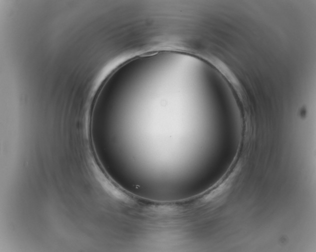 X0000092041246200709191054