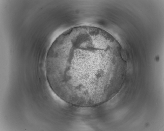 X0000092041247200709191054