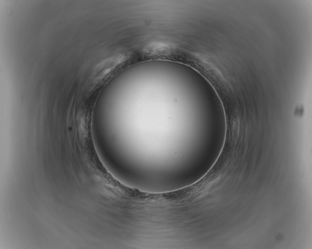 X0000092041250200709191053