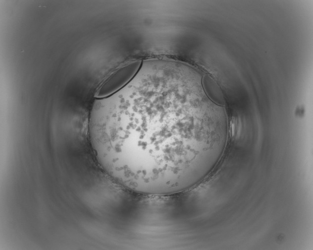 X0000092041251200709191053