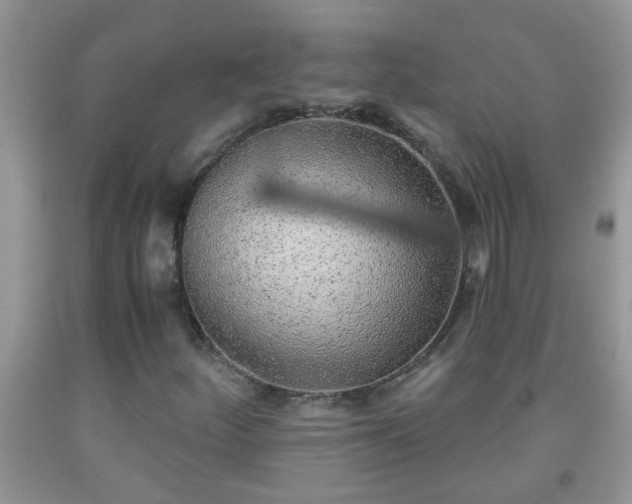 X0000092041252200709191053