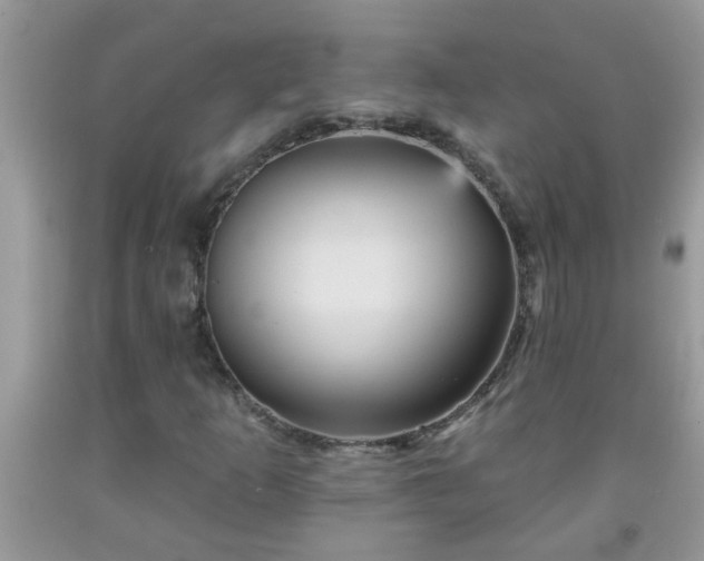 X0000092041253200709191053