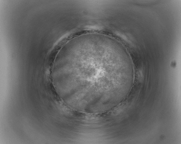 X0000092041254200709191053