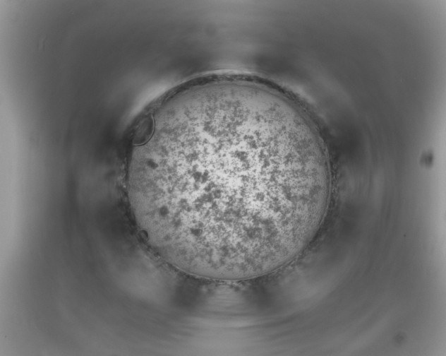 X0000092041255200709191053