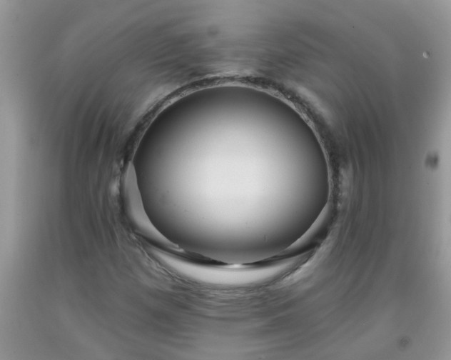 X0000092041257200709191053