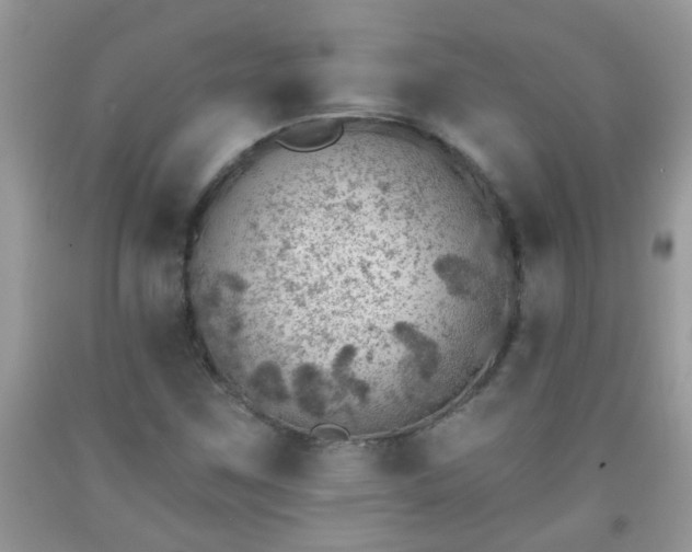 X0000092041259200709191053