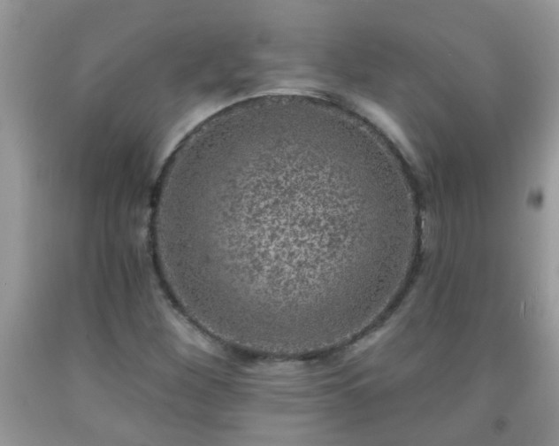 X0000092041260200709191053