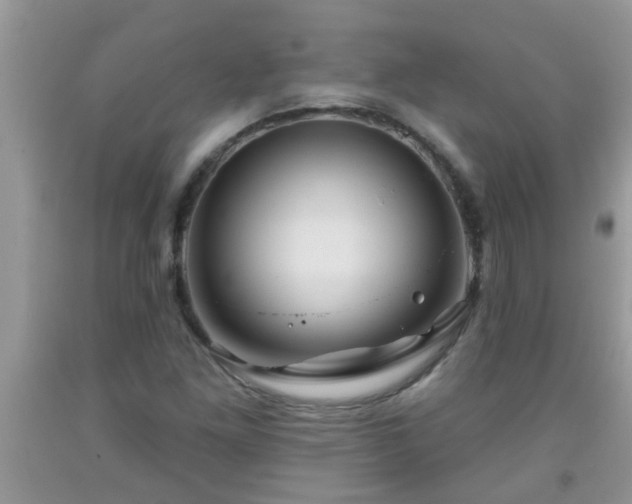 X0000092041261200709191053