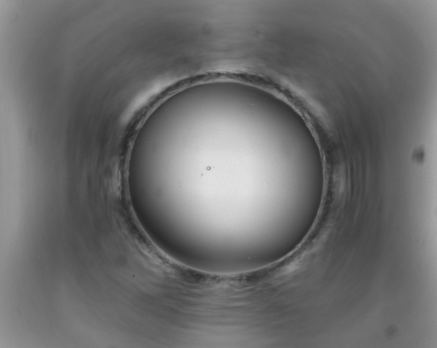 X0000092041262200709191053