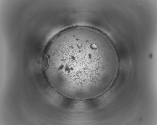 X0000092041263200709191053