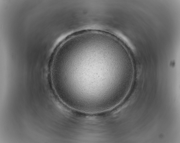 X0000092041264200709191053