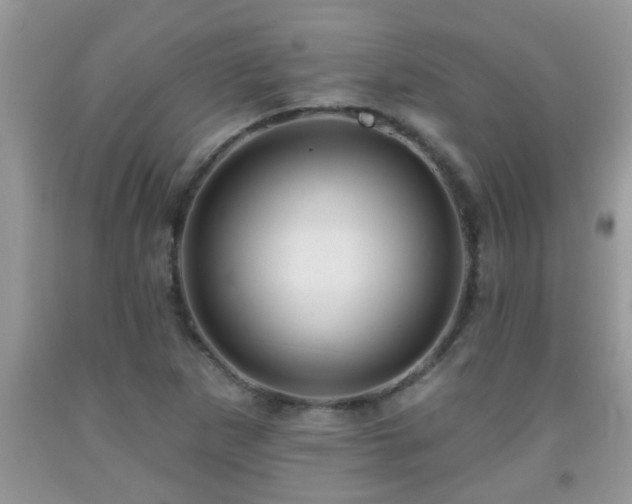 X0000092041265200709191053