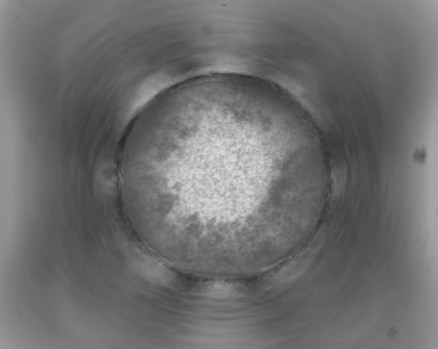 X0000092041266200709191053