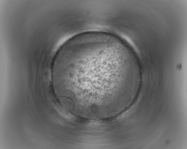 X0000092041267200709191053