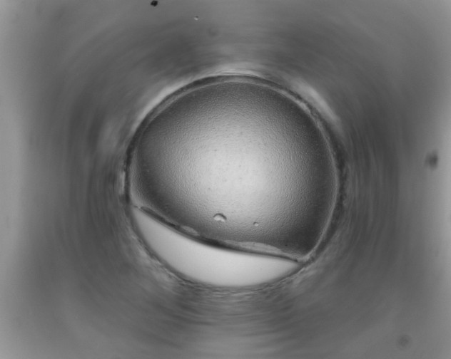 X0000092041268200709191053