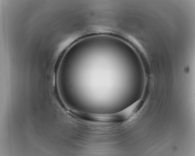 X0000092041269200709191053